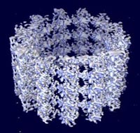 Nanotubo di carbonio