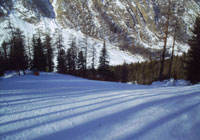 La pista nera