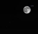 13 novembre: la Luna occulta le Pleiadi!