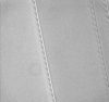 Particolare dell’anello A