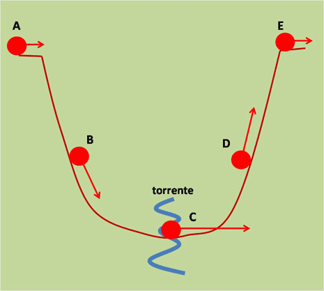 Figura 1