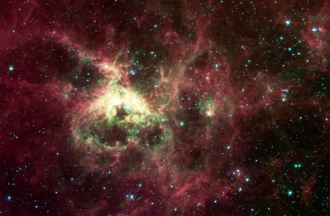 Un’immagine a grande campo della splendida Nebulosa Tarantola