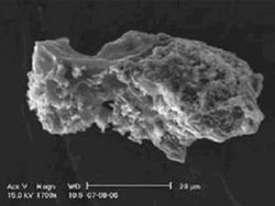 Una delle particelle di polvere di probabile origine cometaria trovate nel centro