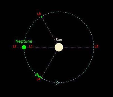 L’orbita di Nettuno e i suoi 5 Troiani scoperti in L4 e l’unico in L5