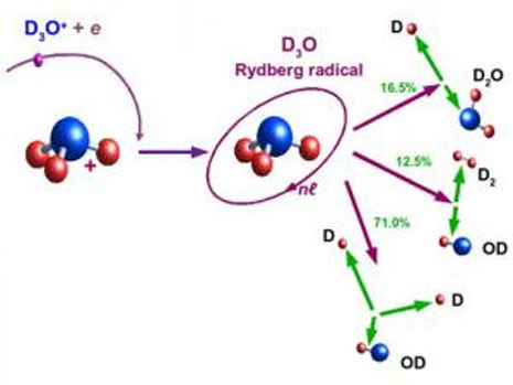 Le tre diverse vie di decadimento della molecola di D3O