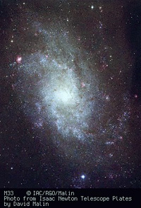 La galassia M33