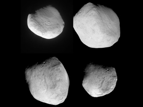 Ecco un fotomosaico di 4 foto della cometa da parte della sonda Stardust