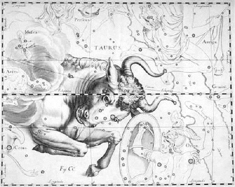 Il Toro nell’Uranometria (big)