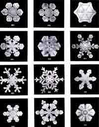 Fiocchi di neve