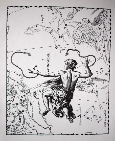 Andromeda nell’Uranometria