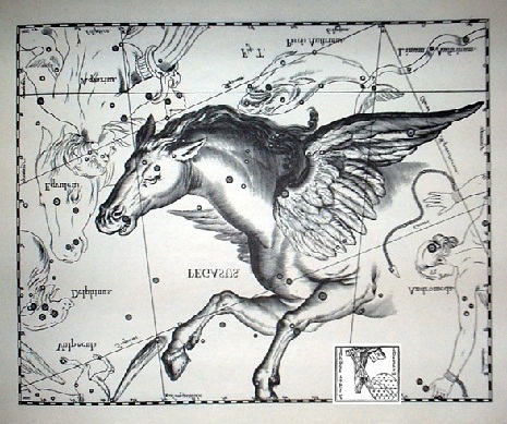 Pegaso secondo Hevelius