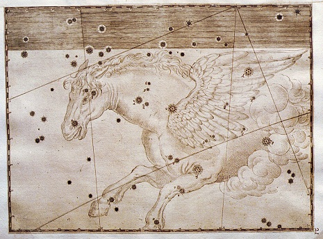 Pegaso nell’uranometria