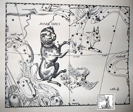 il cane maggioresecondo hevelius