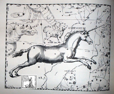 unicorno secondo hevelius