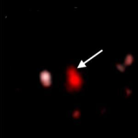 Una delle 150 supernove osservate nel $campo$ profondo del $telescopio$ Subaru alle Hawaii