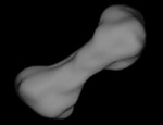 216 Dog Bone Asteorid