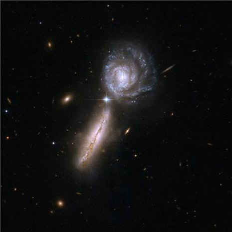 La bellissima coppia di galassie  UGC 9618 / VV 340