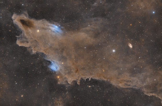 Uno squalo allattacco. Così si presenta la nebulosa oscura LDN 1235, in direzione della costellazione Cefeo. La sua particolare forma la rende uno degli oggetti più straordinari e curiosi di questa parte di cielo. - Copyright: Joaquín Arce e Omar Rodríguez 