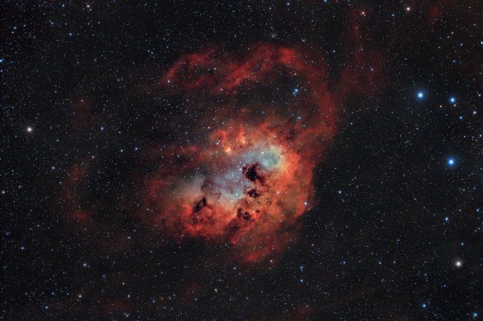 IC 410, detta Nebulosa Girino, è una nebulosa a emissione allinterno della costellazione dellAuriga. Al suo interno si trova lammasso aperto NGC 1893, dove sono in corso processi di formazione stellare dovuti alla presenza di stelle di grande massa - Copyright: Giancarlo Neccia 