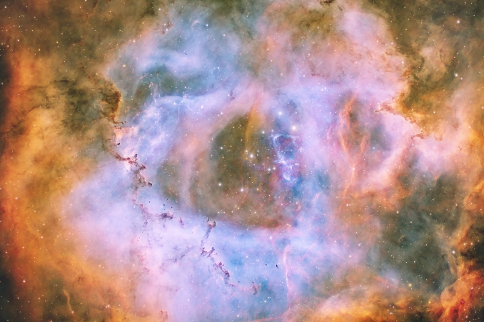 Sita nella costellazione dell'Unicorno, la nebulosa Rosetta è una ricca zona di HII, di forma pressoché circolare ed una delle più brillanti nebulose del cielo invernale. - Copyright: Carlo Tarantini 