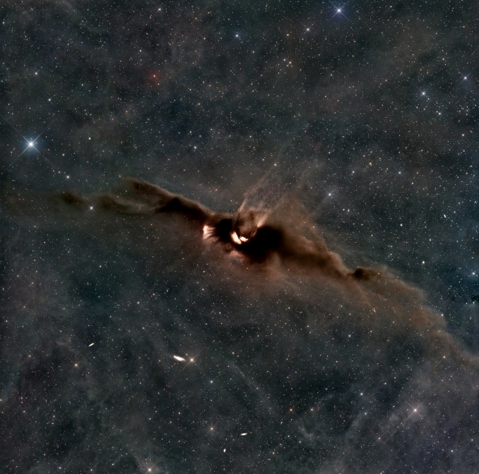 LDN43, la cui bizzarra forma ricorda proprio lunico mammifero volante, è una nebulosa oscura situata in direzione della costellazione dellOfiuco a 1400 anni luce dalla Terra. - Copyright: Riccardo Maria Maffioli 