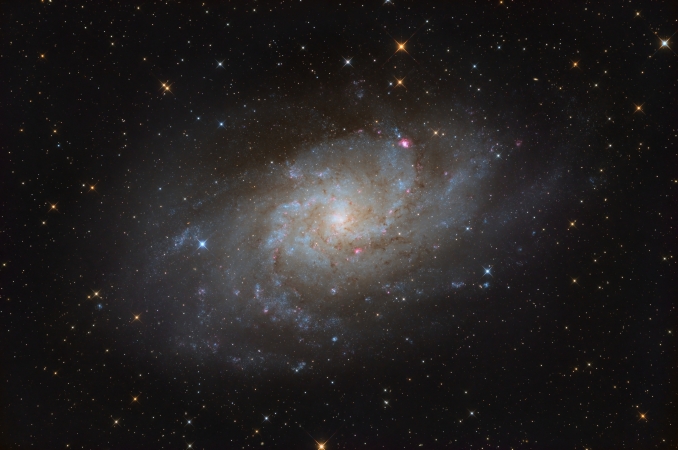 La Galassia Triangolo, conosciuta anche come M33, si trova a circa 3 milioni di anni luce dalla Terra, misura 60 mila anni luce di diametro ed è la terza per dimensioni e numero di stelle nel Gruppo Locale di galassie. - Copyright: Federico Monnati 