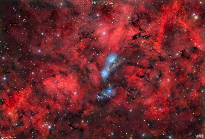 Nota anche come vdB 131 è una nebulosa a riflessione visibile nella costellazione del Cigno. Si individua nella parte settentrionale della costellazione, circa 2,5° a nord della stella Sadr. Il periodo più indicato per la sua osservazione nel cielo serale ricade fra i mesi di Giugno e Novembre - Copyright: Giacomo Pro 