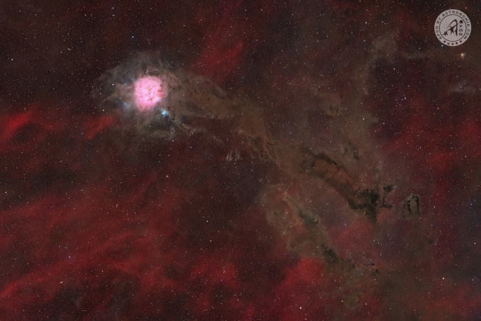 La Nebulosa Cocoon si trova nella costellazione del Cigno, a circa 3.300 anni luce dalla Terra. È una vasta regione di formazione stellare dove gas e polveri si combinano per creare unarea ricca di materiale interstellare, in cui nuove stelle stanno lentamente prendendo forma - Copyright: Carlotta Roda 
