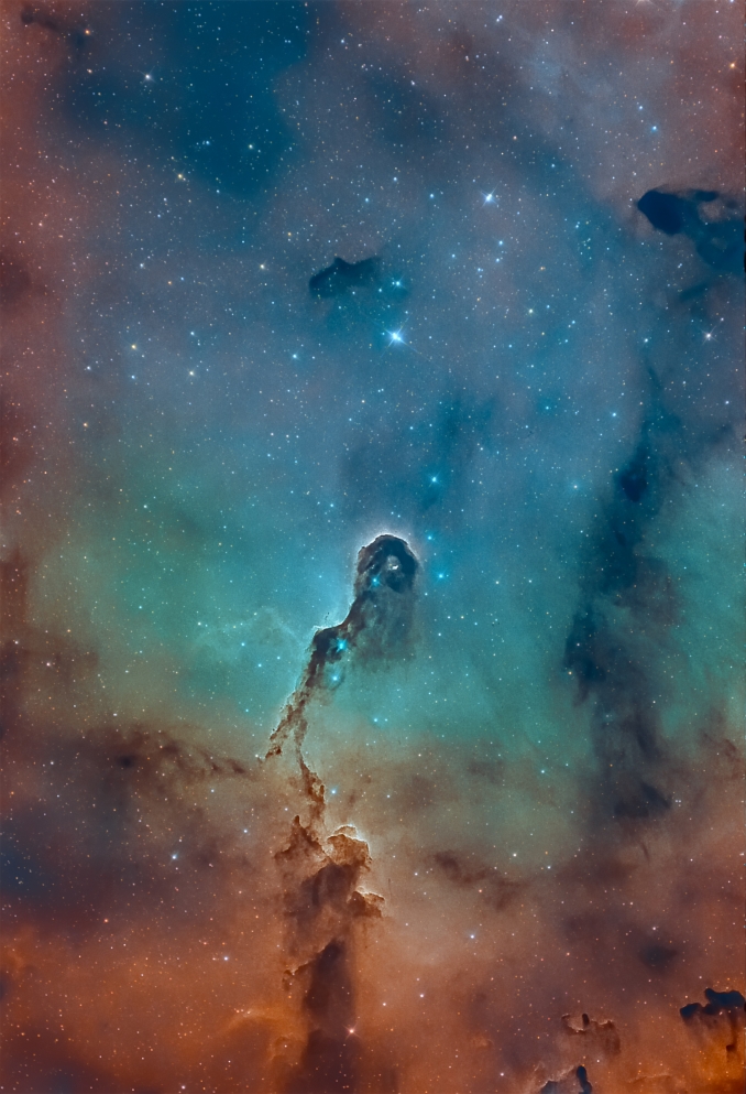 IC 1396 è una nebulosa ad assorbimento (o nebulosa oscura). Il suo soprannome riflette la sua forma perfettamente riconoscibile: la proboscide di elefante. - Copyright: Alessio Scudieri 