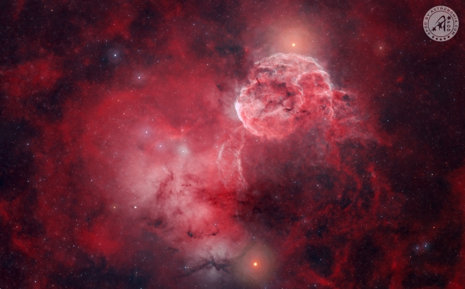 IC 443 assomiglia a una medusa in molte immagini. Ma ruotata di 180 gradi, come in questa, e con il giusto gioco di colori, assomiglia a un cervello! - Copyright: Ogetay Kayali 