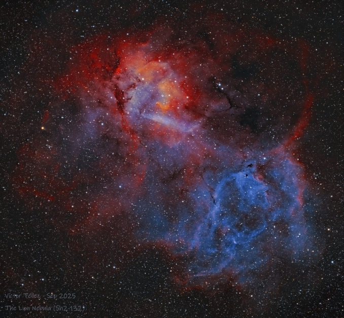 Sh2-132, soprannominata Nebulosa del Leone, è unenorme nebulosa ad emissione molto debole, situata nella parte meridionale della costellazione del Cefeo. Si trova ad una distanza di circa 10.400 anni luce, allinterno del braccio di Perseo - Copyright: Victor Tellez Garza 
