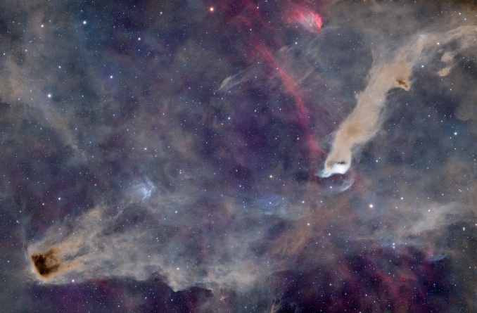 Nella costellazione del cefeo a circa 1300 anni luce dal nostro sistema solare si trova questa regione ricca di gas e polveri e che comprende nebulose ad emissione, a riflessione e oscure. Tra queste vi sono VDB-152 (il verme, a destra) all'interno della quale sono presenti processi di formazione stellare, e LBN 532 (la medusa, in basso a sinistra) che si estende per circa 2 gradi. - Copyright: Carmelo Algeri 