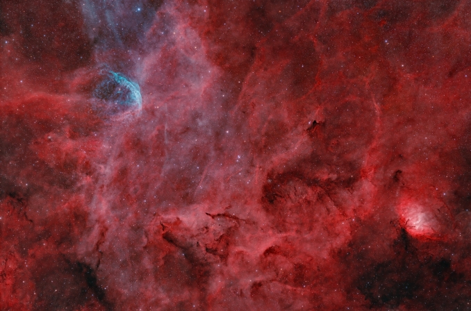 Limmagine, ripresa a largo campo, mostra un tappeto di nebulose ad emissione immerse nel piano della Via Lattea, tra le quali spicca la Nebulosa Tulipano (Sh2-101). In questo contesto compare anche un oggetto piuttosto inusuale: WR 134, una stella WolfRayet massiccia ed estremamente calda - Copyright: Alessandro Carrozzi 