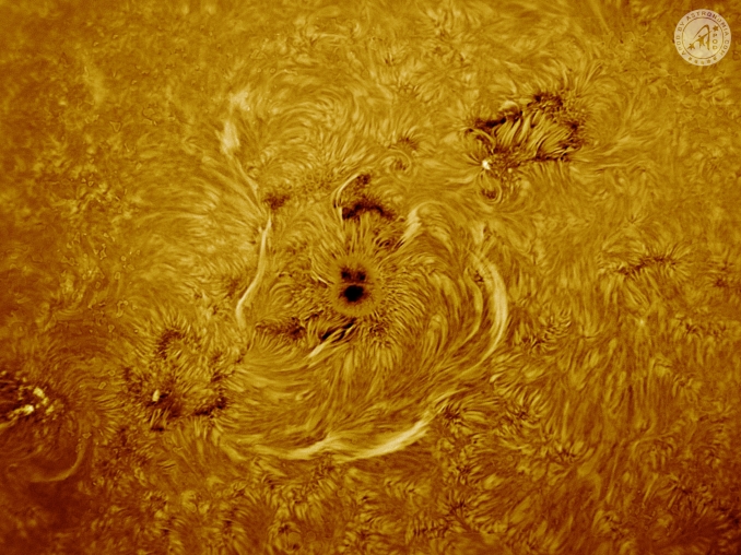 L'osservazione della nostra stella nella riga dell'idrogeno restituisce sempre dettagli affascinanti, che cambiano ogni giorno e in alcuni casi a distanza di pochi minuti. La nostra mente fa il resto, cercando di creare ordine dal caos - Copyright: Giovanni Todesca 