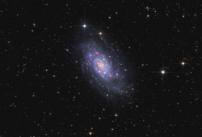 NGC 2403 (conosciuta anche come Caldwell 7) è una galassia a spirale intermedia nella costellazione della Giraffa ed è stata scoperta da William Herschel nel 1788. È un membro periferico del gruppo M81 ed è distante circa 8 milioni di luce - Copyright: Emil Andronic 