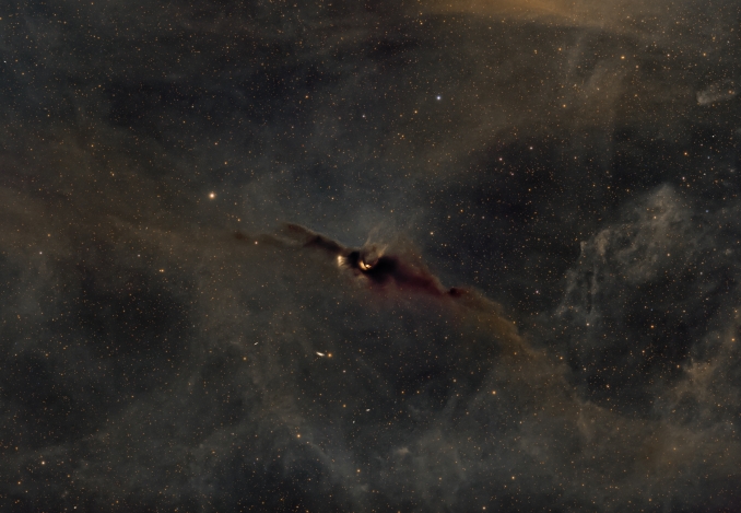 LDN43 (questo il suo nome ufficiale), la cui bizzarra forma ricorda proprio lunico mammifero volante, è una nebulosa oscura nella costellazione dellOfiuco - Copyright: Andrea Arbizzi 