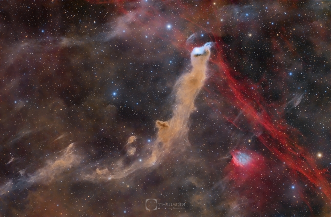 Ai confini di Cefeo si trova vdB 152, nota come Nebulosa Gallo Cedrone. Questa nebulosa di polvere e gas sembra fluttuare sopra l'oscurità del globulo di Barnard 175, a circa 1.400 anni luce da noi - Copyright: N-KUADRA Astrophotography and Alberto Soler 