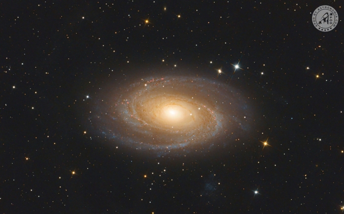 La Galassia di Bode, (nota anche come M 81 o NGC 3031) è una galassia a spirale situata a circa 12 milioni di anni luce dalla Terra, nella costellazione boreale dellOrsa Maggiore. - Copyright: Tito Santos 