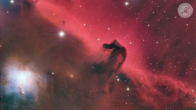 La nebulosa oscura B33, nota anche col nome di Testa di Cavallo (Horsehead Nebula), è un oggetto che dista circa 1500 anni luce dalla Terra, ed ha un raggio di circa 3,5 anni luce. Si trova nella costellazione di Orione appena sotto Alnitak, la stella più a est della cintura di Orione. - Copyright: Bruno Latorre 