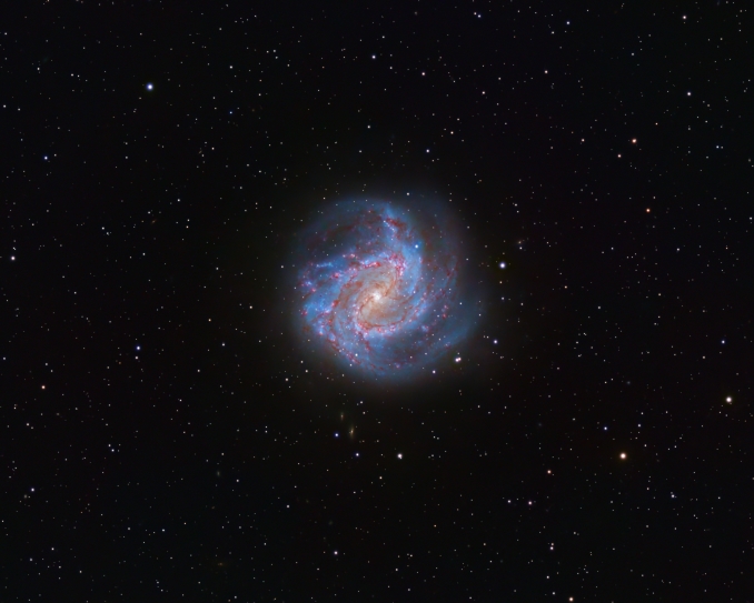La Galassia Girandola Meridionale (M83) nella costellazione dell'Idra possiede quasi tutte le caratteristiche che un astrofilo potrebbe desiderare. Questa splendida galassia a spirale barrata si estende per ben 14? e, con una magnitudine di 7,5, si colloca tra le 10 galassie più brillanti del cielo - Copyright: Bruno Araujo Pinto 