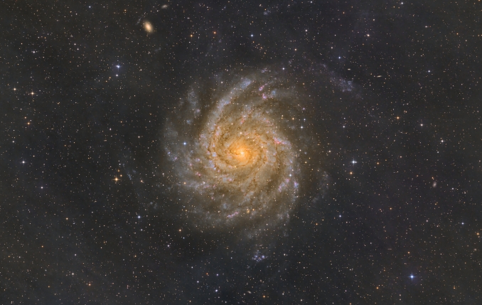 IC 342 è una galassia a spirale di forma intermedia tra la classificazione di Galassia spirale barrata e non barrata, situata nella costellazione della Giraffa - Copyright: Federico Vittorio Mantovani 