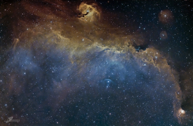 A cavallo tra le costellazioni del Cane Maggiore e dellUnicorno, ben visibili verso sud in queste sere di gennaio, si trova la estesa nebulosa Ic 2177, meglio nota come nebulosa Gabbiano - Copyright: David Pérez Arroyo 