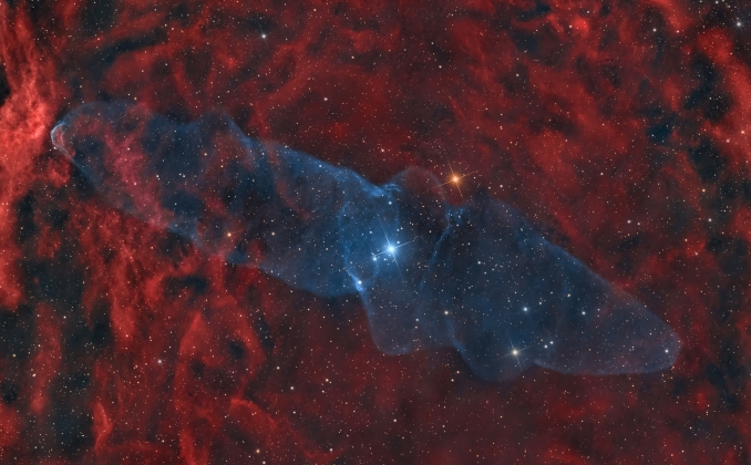 Outters 4 (Ou4), conosciuta come Nebulosa Calamaro Gigante, è una nebulosa planetaria molto debole situata nella costellazione di Cefeo, scoperta solo nel giugno 2011 dall'astronomo dilettante Nicolas Outters - Copyright: Massimo Di Fusco 