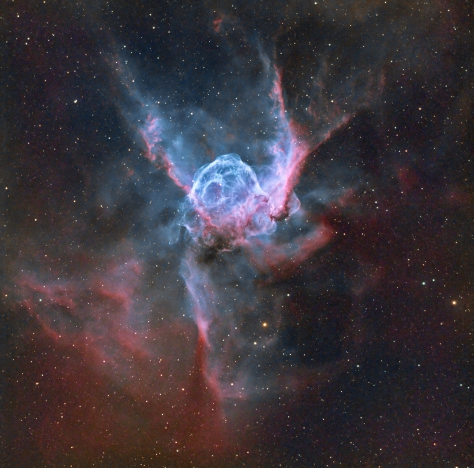 NGC 2359 (nota anche come Nebulosa Elmo di Thor) è una nebulosa a emissione situata nella costellazione del Cane Maggiore. Al centro della nebulosa si trova una caldissima stella di Wolf-Rayet, che la illumina, eccitandone lidrogeno e ionizzandolo - Copyright: Francisco Javier Pérez Olvera 