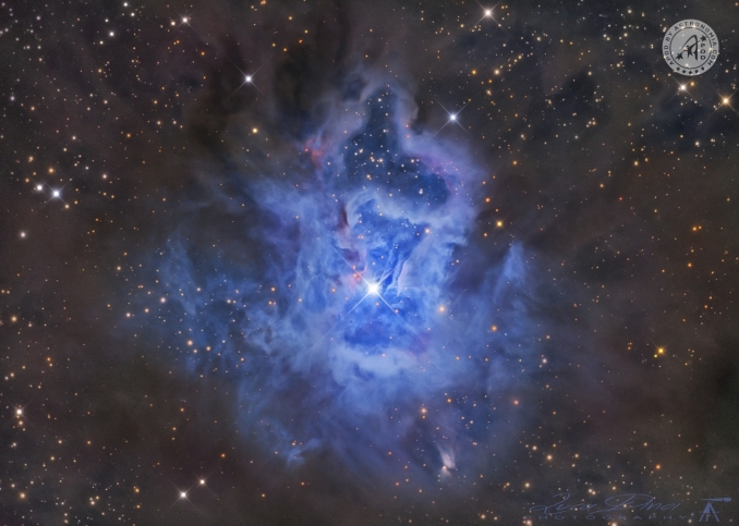 La Nebulosa Iris, catalogata come NGC 7023, è una nebulosa a riflessione situata in direzione della costellazione del Cefeo - Copyright: Luca Dinoi 