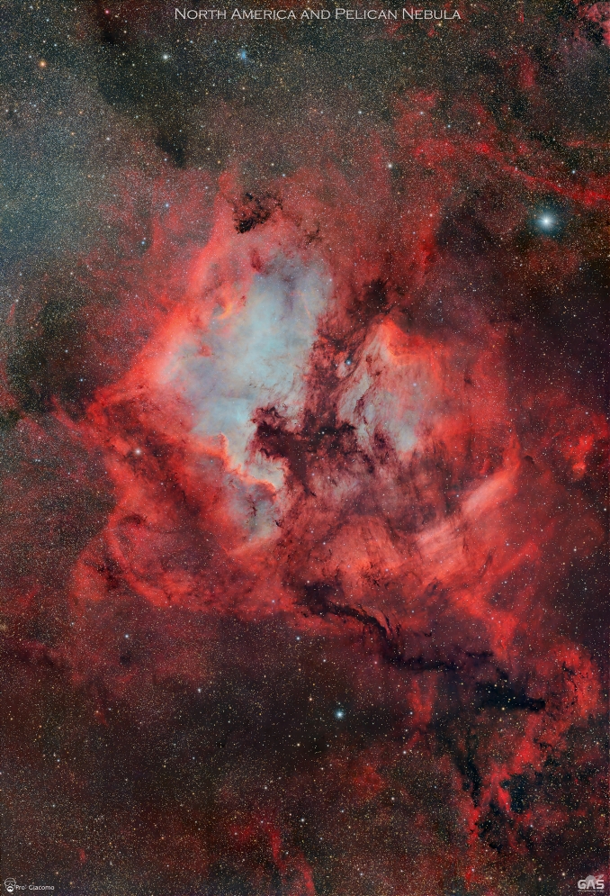 La Nebulosa Nord America (NGC 7000) e la vicina Nebulosa Pellicano (IC 5070), sono parte della stessa vasta nube interstellare di idrogeno ionizzato. - Copyright: Giacomo Pro 