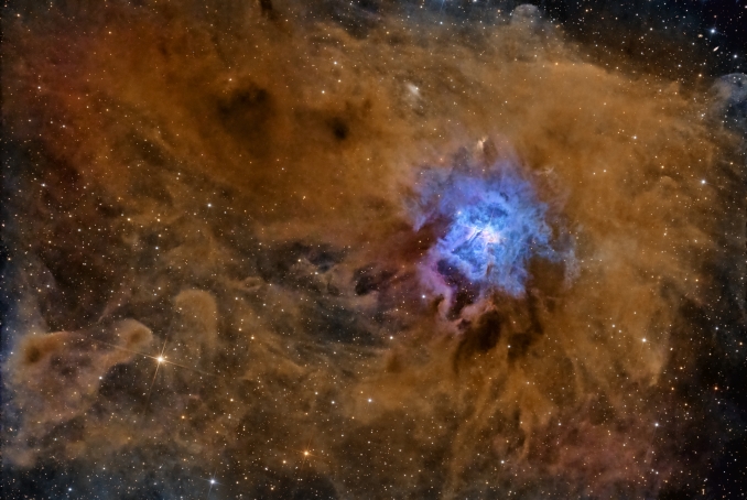 La Nebulosa Iris, catalogata come NGC 7023, è una nebulosa a riflessione situata in direzione della costellazione del Cefeo. Si chiama nebulosa a riflessione poichè riflette la luce di alcune stelle vicine. - Copyright: Cristiano Gualco 