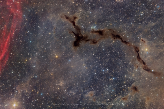 Barnard 150, nota anche come Nebulosa Cavalluccio Marino, è unoscura nube molecolare di polvere nella costellazione di Cefeo, così densa da assorbire tutta la luce che proviene dalle stelle dietro di essa - Copyright: Francesco Radici 