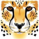 L'avatar di Acinonyx jubatus