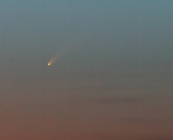 La Cometa C/2006 P1 (McNaught)